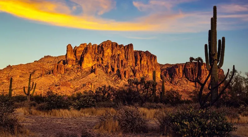 Superstition Mountains at dusk with cholla and saguaro cacti